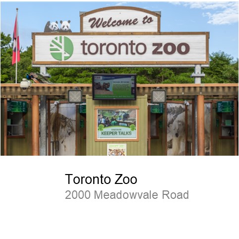 toronto zoo